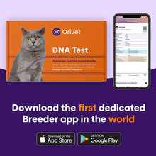 Load image into Gallery viewer, Purebred Cat Full Breed Profile
