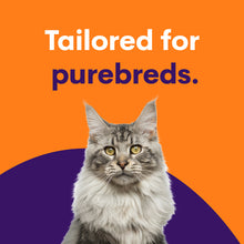 Load image into Gallery viewer, Purebred Cat Full Breed Profile
